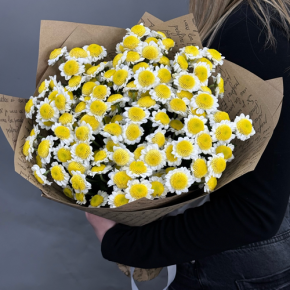 Букет "Моё солнышко" из 11 хризантем сантини  в Можайске