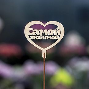 Топпер Самой Любимой в Можайске