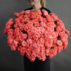 Букет из 39 коралловых кустовых роз (50 см) в Можайске