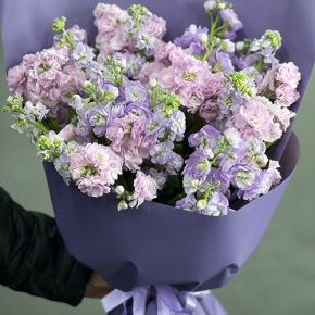 Букет из 15 ароматных маттиол микс в Можайске