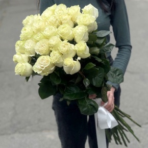 Монобукет из 25 роз Эквадор Мондиаль (80 см) в Можайске