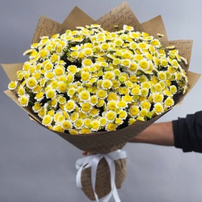 Букет "Моё солнышко" из 31 хризантемы сантини  в Можайске