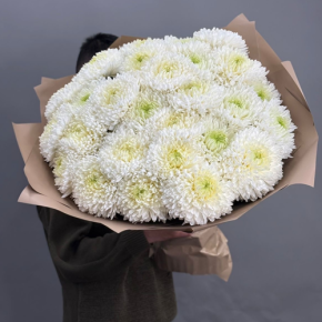 Букет из 27 хризантем Магнум в Можайске