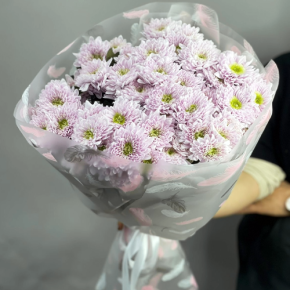 Букет "Нежный комплимент" из 9 кустовых хризантем в Можайске