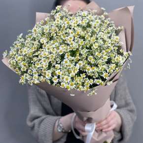 Букет из 17 полевых ромашек в Можайске