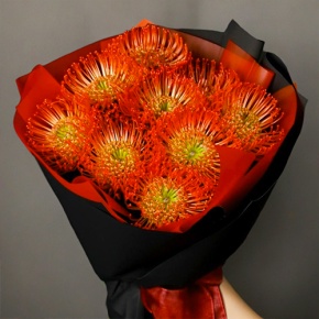 Букет из 9 лейко в Можайске