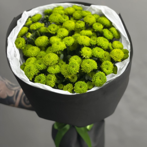 Стильный букет "Лайм" из 15 хризантем сантини в Можайске