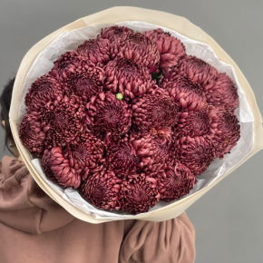 Букет 21 шоколадной хризантемы Бигоуди в Можайске