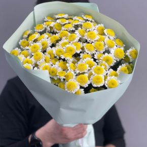 Букет "Моё солнышко" из 17 хризантем сантини  в Можайске