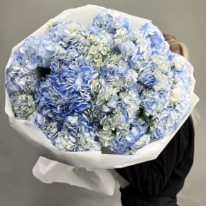 Букет из 23 синих гортензий в Можайске