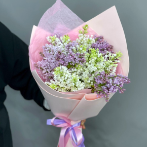 Букет из 11 веток сирени микс в Можайске