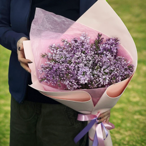 Букет из 11 веток сирени в Можайске