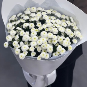 Букет "Белая дымка" из 25 хризантем сантини в Можайске