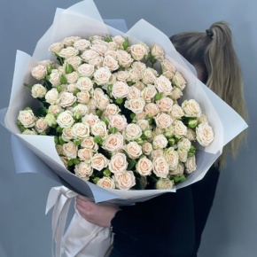 Букет из 25 кремовых кустовых роз (70 см) в Можайске