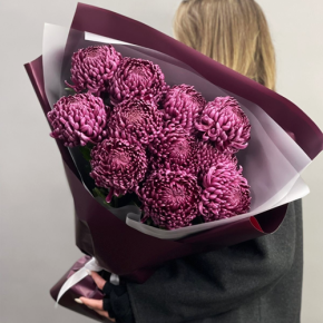 Букет "Изобилие" из 11 винных хризантем Бигоуди в Можайске