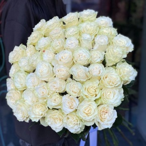 Букет из 51 розы Эквадор Мондиаль под ленту (80 см) в Можайске