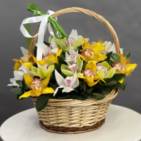 Композиция в корзине из 25 орхидей микс в Можайске