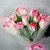 Букет "Фламинго" из 11 пионовидных тюльпанов в Можайске