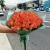 Букет из 51 мандариновой розы (40 см) в Можайске