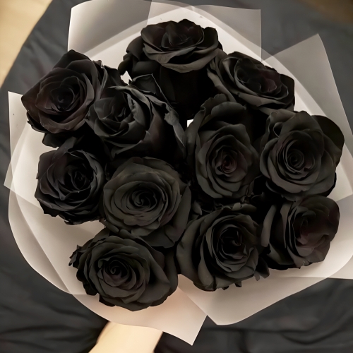 Букет "Черная королева" из 11 черных роз Эквадор (60 см) в Можайске