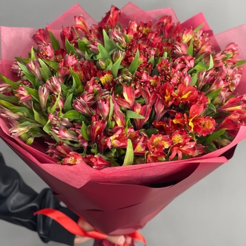 Монобукет из 25 красных альстромерий в Можайске