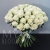Букет 75 белых роз Эквадор Мондиаль (80 см) в Можайске