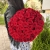 Букет 51 красной розы 50 см в Можайске