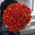 Букет 101 коралловая роза (60 см) в Можайске