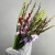Букет из 25 гладиолусов микс в Можайске