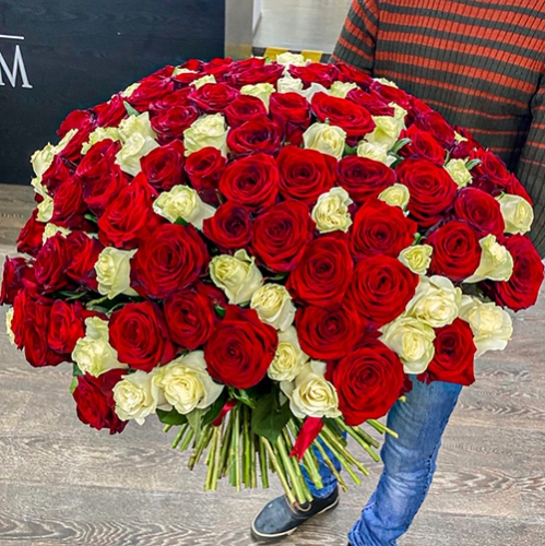 Букет 151 роза красный и белый микс (60 см) в Можайске