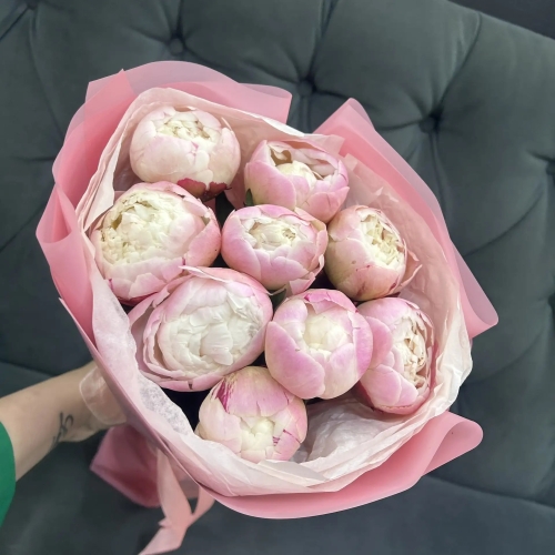 Букет из 9 нежных пионов Гардения в Можайске
