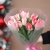 Букет "Фламинго" из 11 пионовидных тюльпанов в Можайске