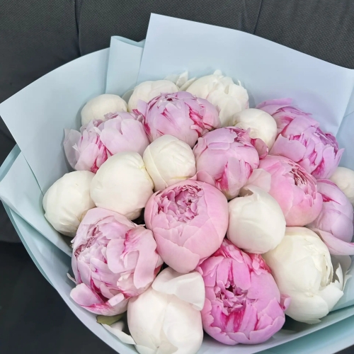 Микс из 19 бело-розовых пионов в Можайске