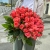 Букет 51 роза коралл (60 см) в Можайске