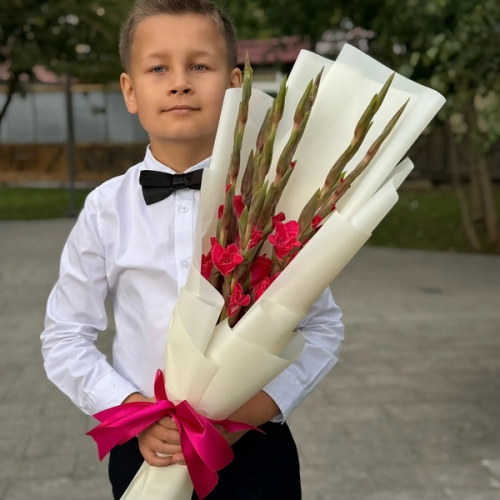 Букет на 1 сентября из 7 малиновых гладиолусов в Можайске