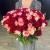 Букет 151 роза красный микс (50 см) в Можайске
