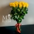 Букет 25 желтых роз эквадор (60 см) в Можайске
